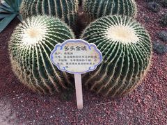 -龙达温泉生态城