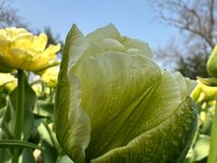 -玄武湖景区-情侣园游乐场