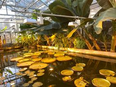 -国家植物园南园