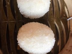 茨毛圆子-双塔老饭店