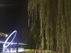 -南京眼步行桥