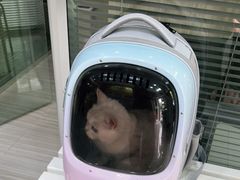 -纳吉亚猫专科动物医院(康都外科中心)