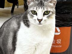 -谜盒子奇幻密室(南屏店)