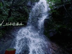 -祁门牯牛降观音堂风景区