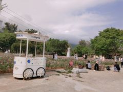 -玫瑰海岸文化旅游度假区