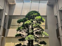 -外滩·云南人家(昆明旗舰店)