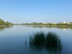 -羊山湖公园