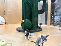 -帕帕拉兹宠物(亚洲旗舰店)