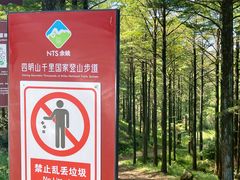 -四明山国家森林公园
