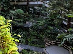 -新加坡乌节希尔顿酒店 (SG Clean)