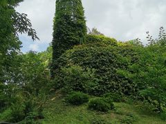 -三鹰之森吉卜力美术馆