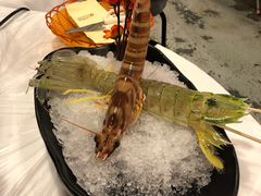 -鲜入围煮花胶鸡海鲜火锅