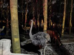 -昆山城市生态森林公园