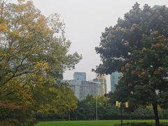 -陆家嘴中心绿地
