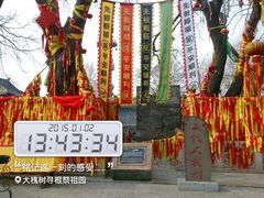 -大槐树寻根祭祖园