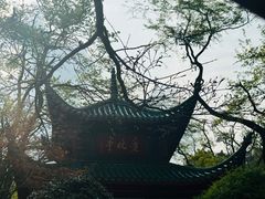 -岳麓山风景名胜区