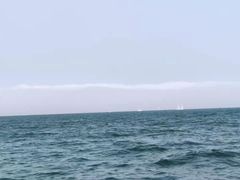 -五缘湾游艇帆船俱乐部
