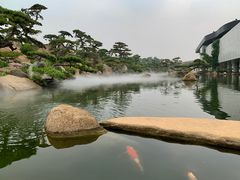 -罗红摄影艺术馆