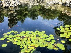 -东山雕花楼