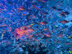 -成都浩海立方海洋公园