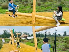 -中国天府农业博览园