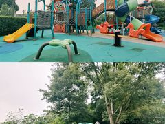 -两河城市森林公园