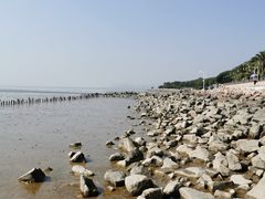 -深圳湾公园(南山区)