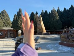 -龙口南山旅游景区