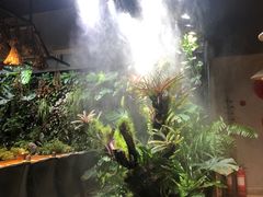 -森味薪火烧•烧鸟居酒屋•日本料理(望京店)