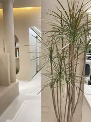 -Garden花園造型