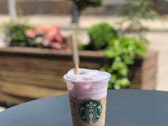 漫樱吹雪拿铁-星巴克(宁波老外滩店)