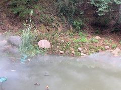-句容茅山景区