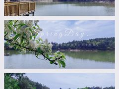 -南京市无想山景区