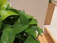 店内环境-招商银行(北京北三环支行)