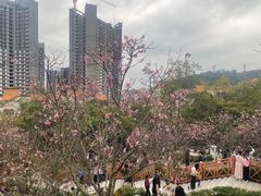 -小南山公园