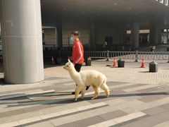 -川渔居—鱼火锅(八方汇店)