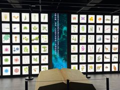 -四川大学博物馆