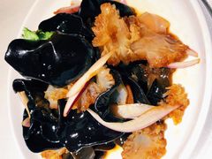 云耳海蜇花-旺顺阁鱼头泡饼(常营店)