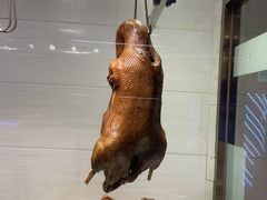 -陆记鹅庄·潮汕菜·狮头鹅(大仟里店)