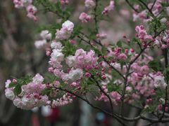 -燕郊植物园
