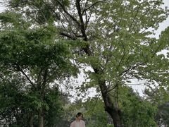 -云漫湖生态度假公园