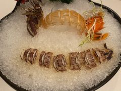 冰镇花雕富贵虾皇-三号黄浦会Canton Table