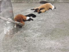 -无锡动物园·太湖欢乐园