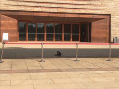 -盘龙城国家考古遗址公园