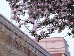 -民园广场