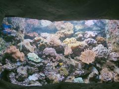 -南昌海洋公园