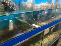 -船梆煮•蒸汽海鲜·生腌干蒸(五四广场店)