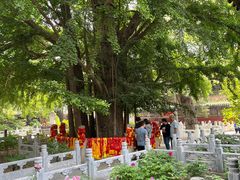 -潭柘寺景区