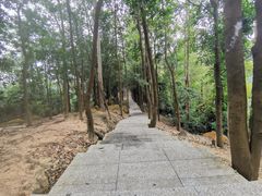-火炉山森林公园
