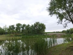 -东郊湿地公园